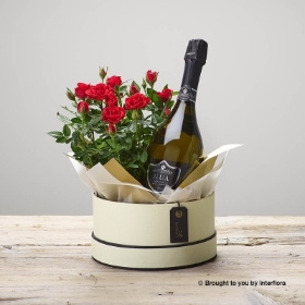 Ruby Rose Hatbox and Prosecco